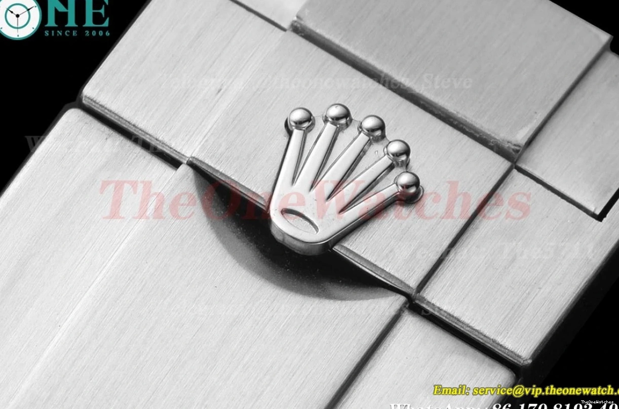 Black Explorer 40mm SS VS3230 224270 SS Dial VSF I 0129